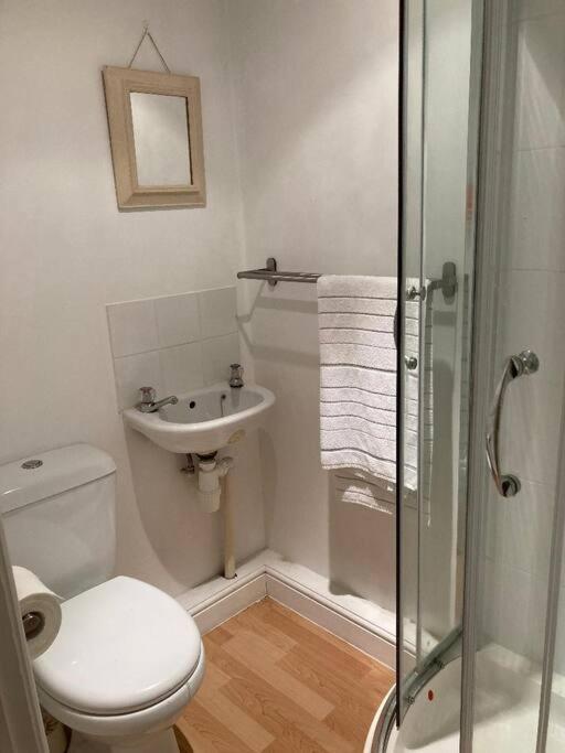 Studio Annexe With Separate Shower Room Broadhempston Exteriör bild